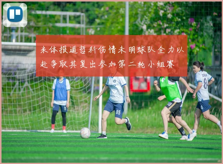 米体报道哲科伤情未明球队全力以赴争取其复出参加第二轮小组赛
