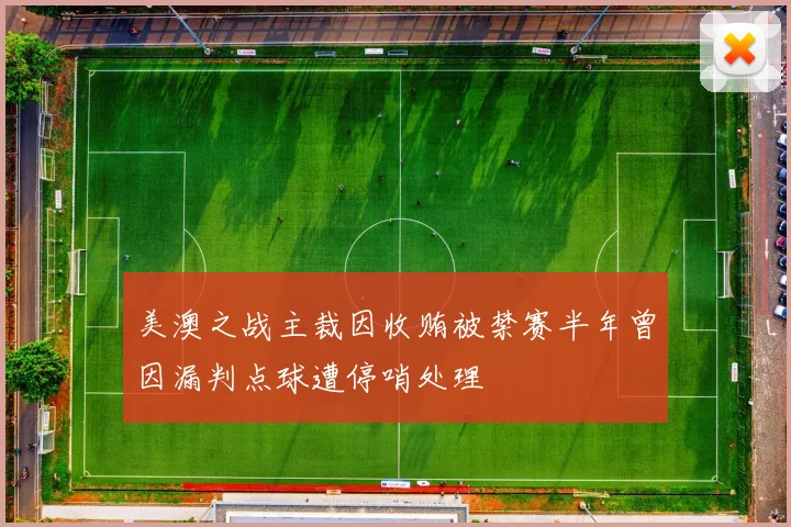 美澳之战主裁因收贿被禁赛半年曾因漏判点球遭停哨处理